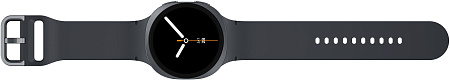 Смарт-часы Samsung Galaxy Watch 8 40 мм Графит