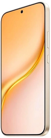 Смартфон Honor X9e Pro 8/256 Гб Золотой
